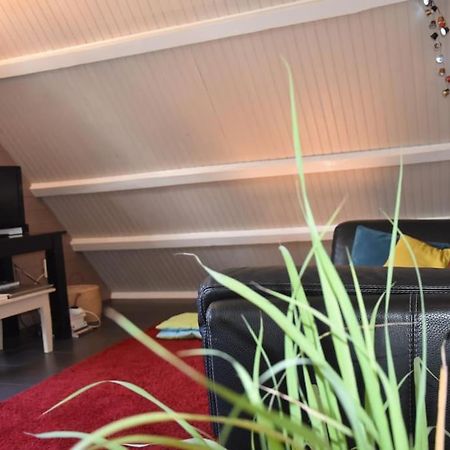 Apartmán Le Strelitzia 1 Cilaos Exteriér fotografie